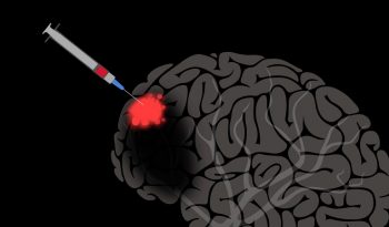 Delivering Drugs To The Brain Is Now A Reality